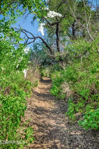 Malibu land-74