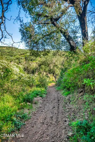 Malibu land-54