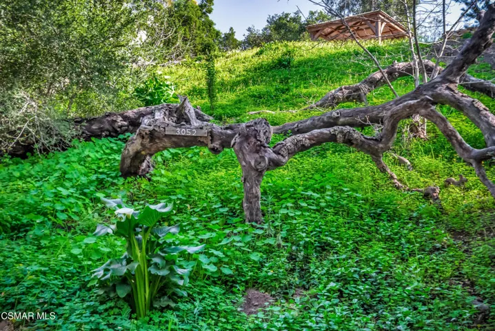 Malibu land-42
