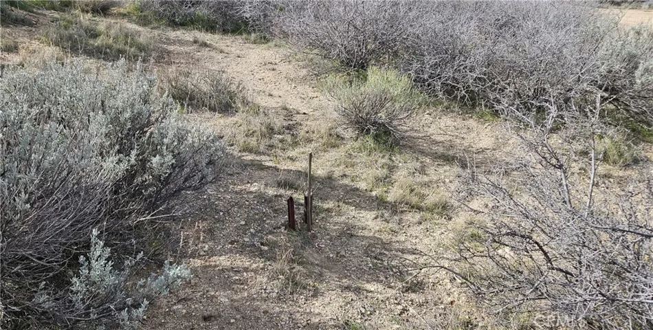 Monument 2 (property marker)