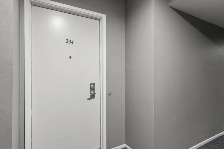 IMG-1