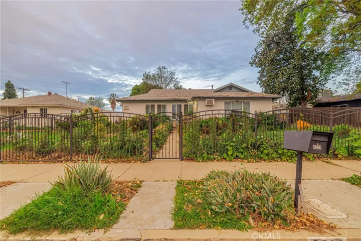Front Garden