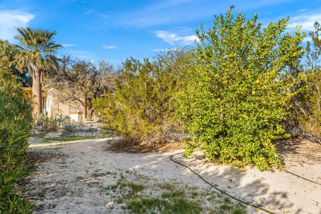 22950 Henry Road, Desert Hot Springs, California 92241 home-pic-60