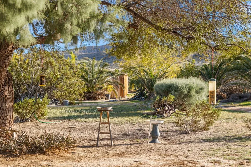 22950 Henry Road, Desert Hot Springs, California 92241 home-pic-40