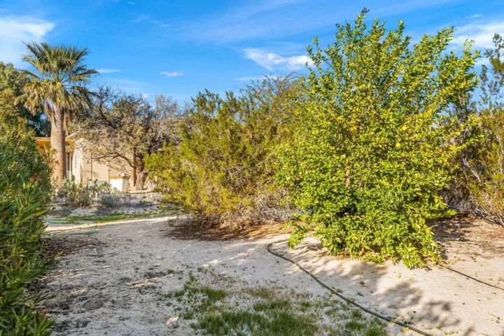 51-web-or-mls-8M4A1703