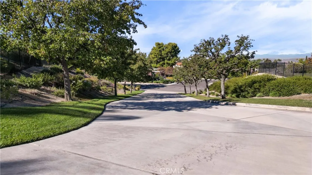 Driveway north view flanked by mature trees