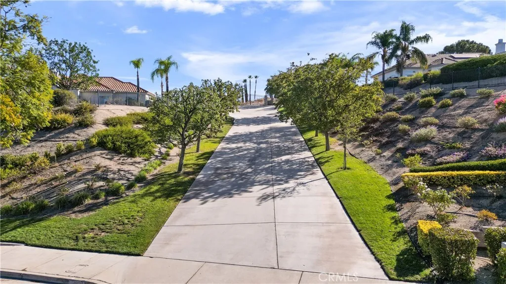 Private driveway flanked by mature trees leads to private gate