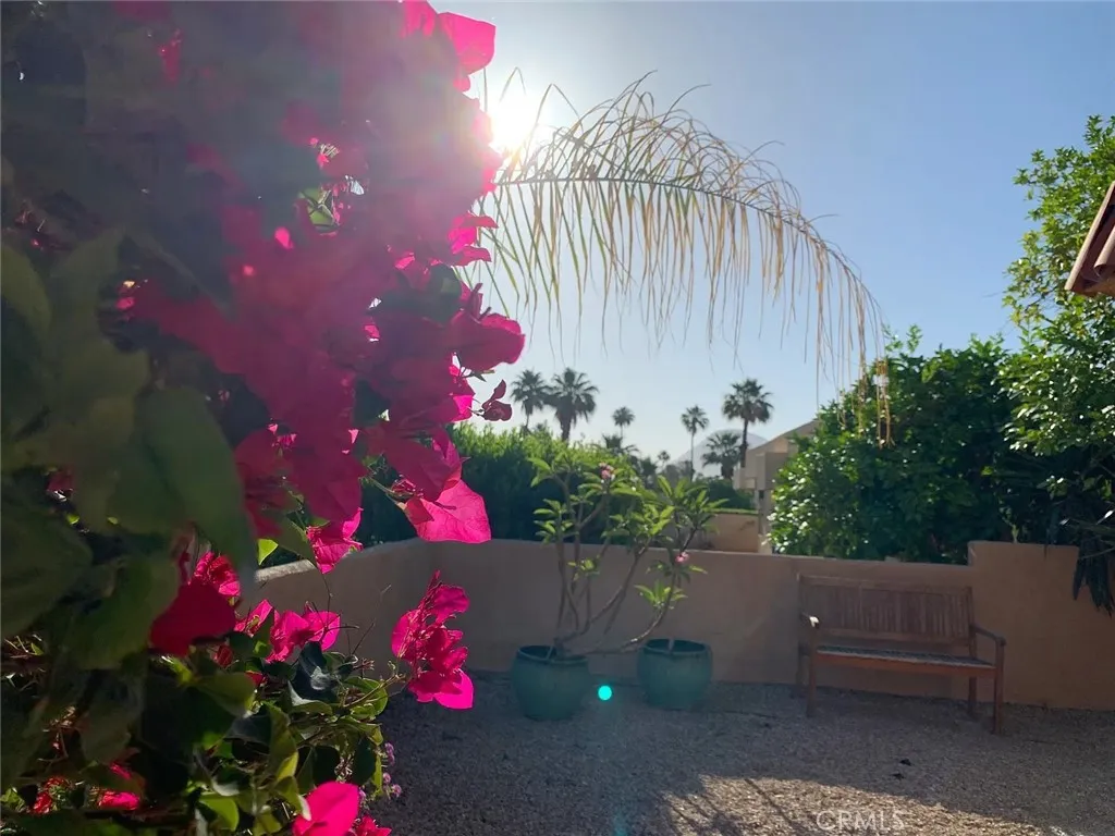 Side yard