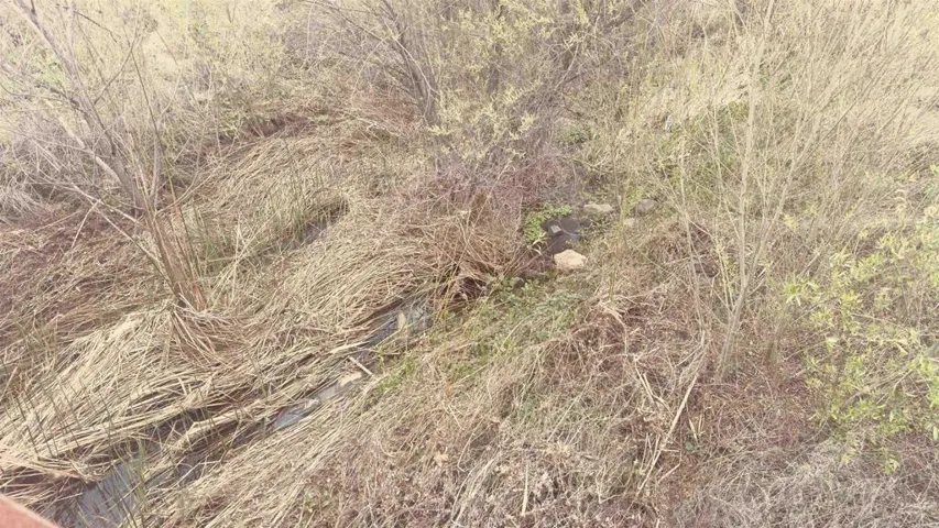 Stream under the bridge and it has its trails walk