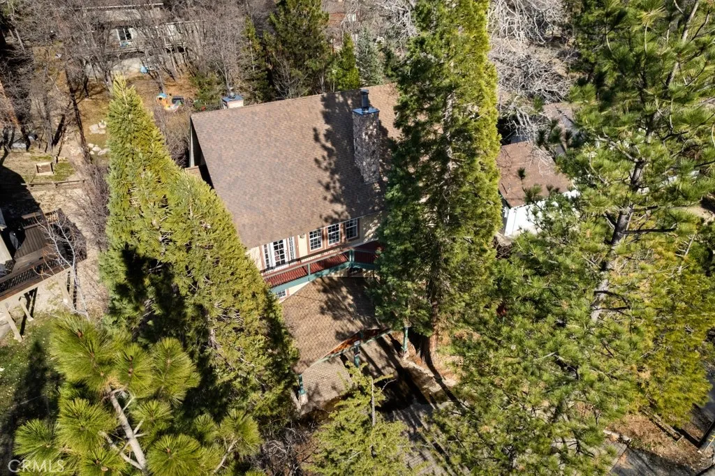 28070 West Shore Road, Lake Arrowhead, California 92352 home-pic-37