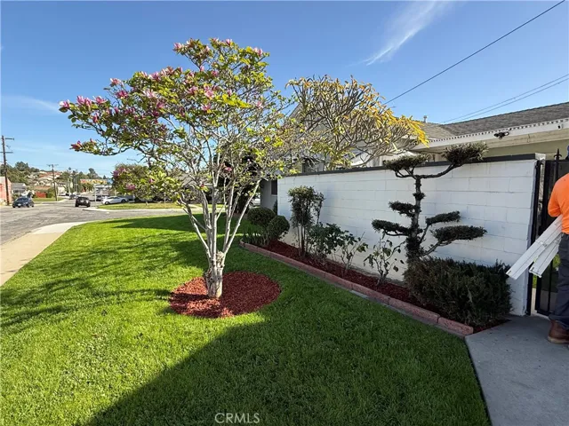 Beautiful Magnolia Tree greets you at the side gate.