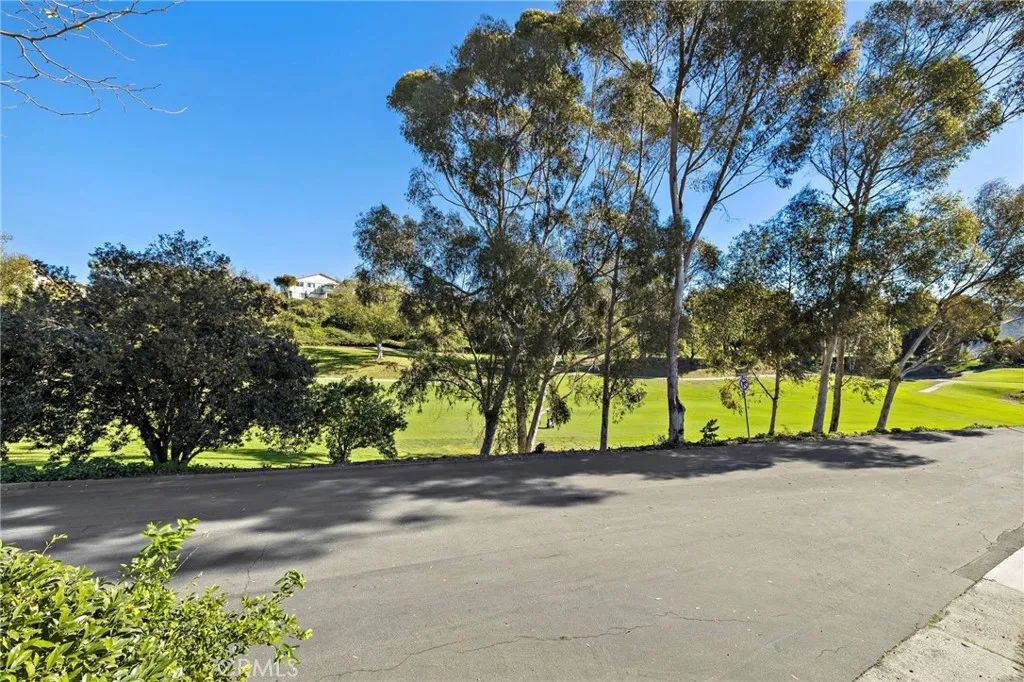 606 Calle Del Cerrito, San Clemente, California 92672 home-pic-13