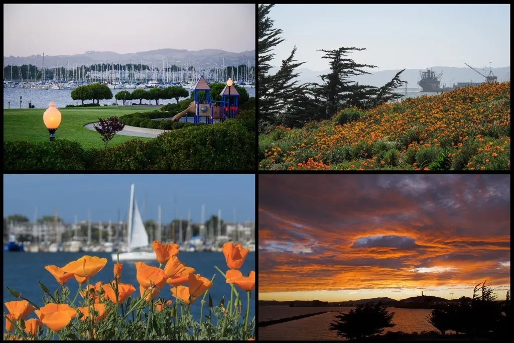 79 Lakeshore Ct, Richmond, California 94804 home-pic-47