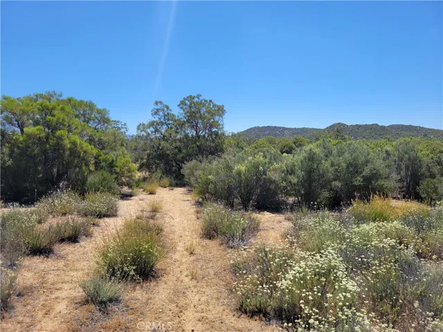 0 Terwilliger, Anza, California 92539