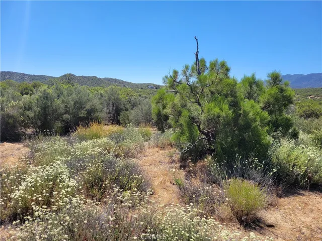 0 Terwilliger, Anza, California 92539