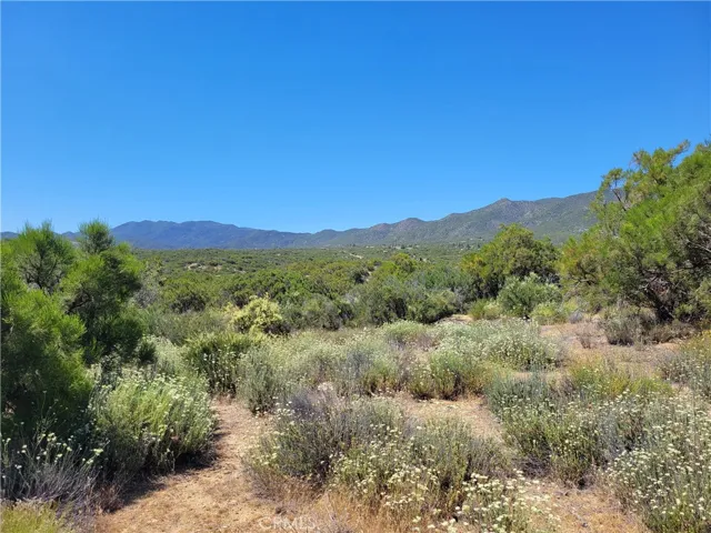 0 Terwilliger, Anza, California 92539