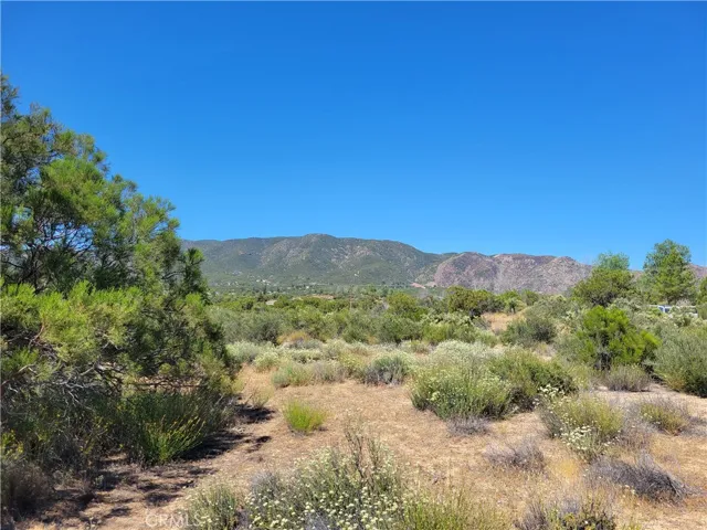 0 Terwilliger, Anza, California 92539