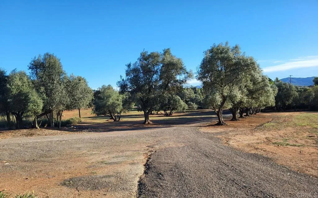 616 Alpine Heights-20acres, Alpine, California 91901 home-pic-49