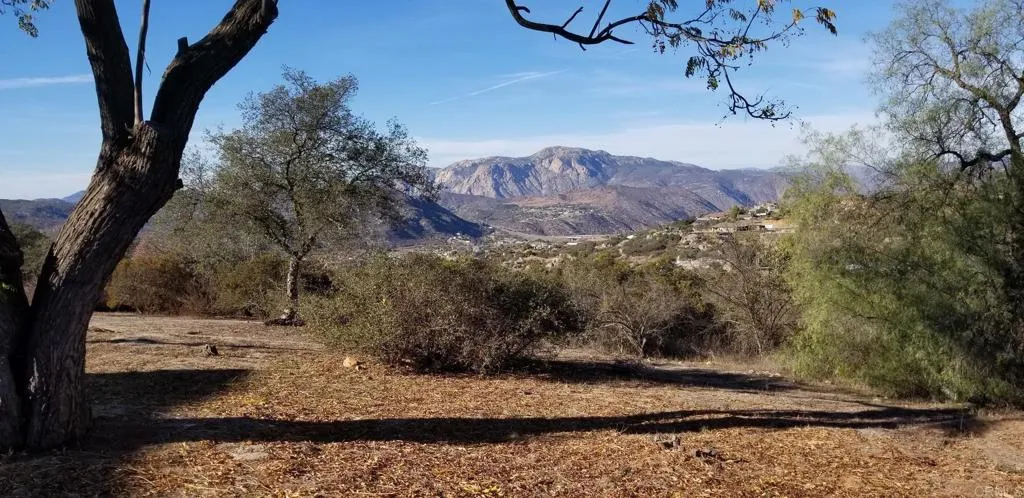 616 Alpine Heights-20acres, Alpine, California 91901 home-pic-41