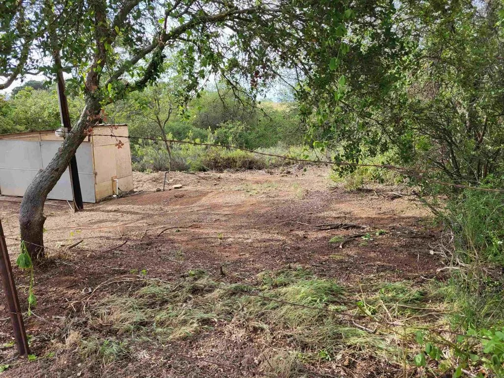616 Alpine Heights-20acres, Alpine, California 91901 home-pic-46