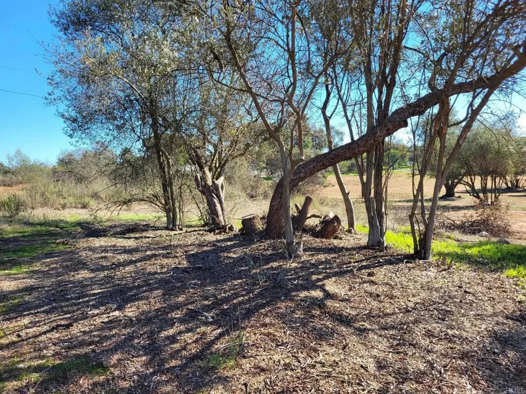 616 Alpine Heights-20acres, Alpine, California 91901 home-pic-31