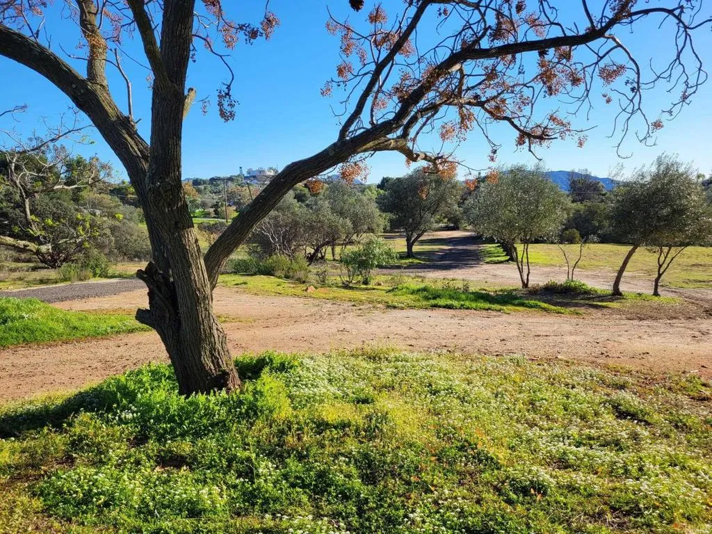 616 Alpine Heights-20acres, Alpine, California 91901 home-pic-39