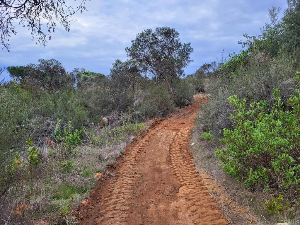 616 Alpine Heights-20acres, Alpine, California 91901 home-pic-50