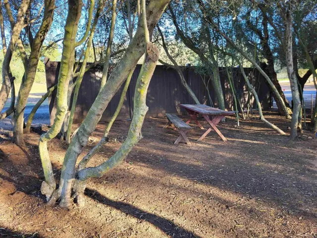 wooded area with picnic table