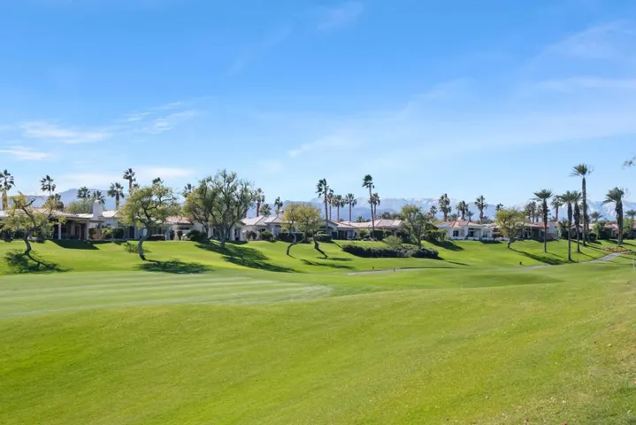 407 Desert Holly -37