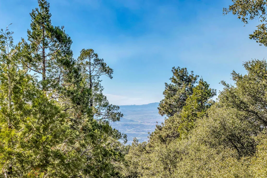 52365 Pine Ridge Road, Idyllwild, California 92549 home-pic-32