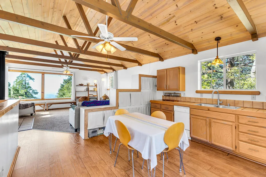 52365 Pine Ridge Road, Idyllwild, California 92549 home-pic-18