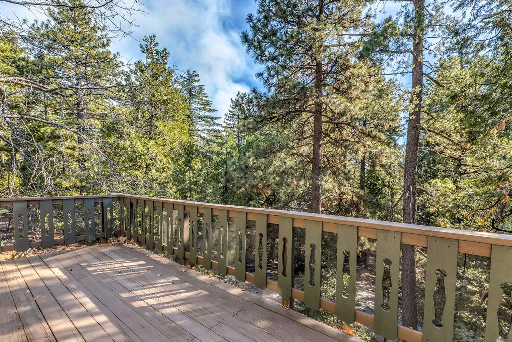52365 Pine Ridge Road, Idyllwild, California 92549 home-pic-28