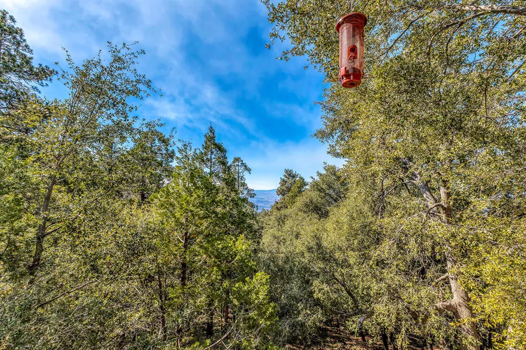 52365 Pine Ridge Road, Idyllwild, California 92549 home-pic-30
