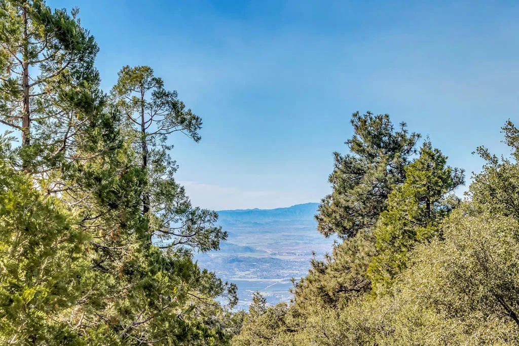 52365 Pine Ridge Road, Idyllwild, California 92549 home-pic-31