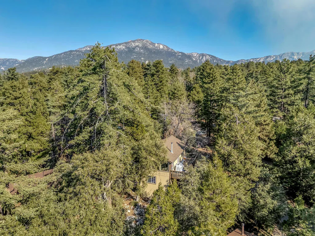 52365 Pine Ridge Road, Idyllwild, California 92549 home-pic-4