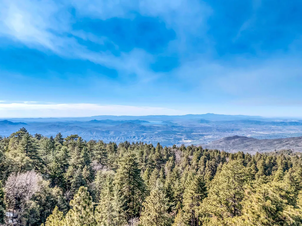 52365 Pine Ridge Road, Idyllwild, California 92549 home-pic-3