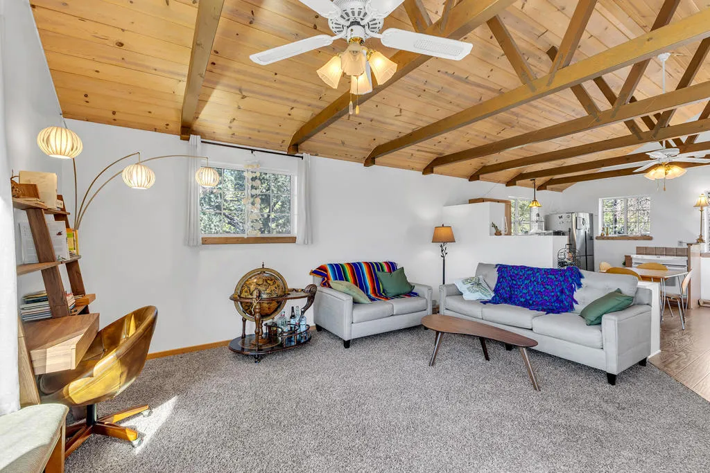 52365 Pine Ridge Road, Idyllwild, California 92549 home-pic-15