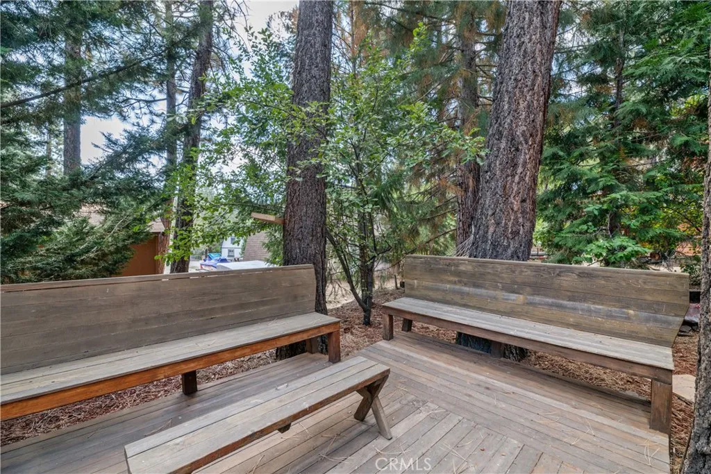 42955 Encino, Big Bear Lake, California 92315 home-pic-20