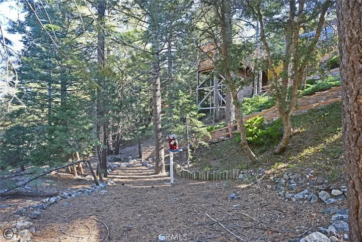 Back Exterior