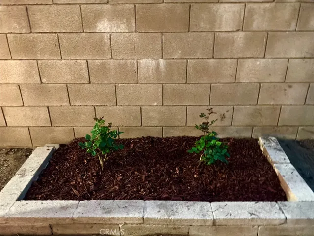 MANY CUSTOM PLANTERS READY FOR YOUR FOLIAGE