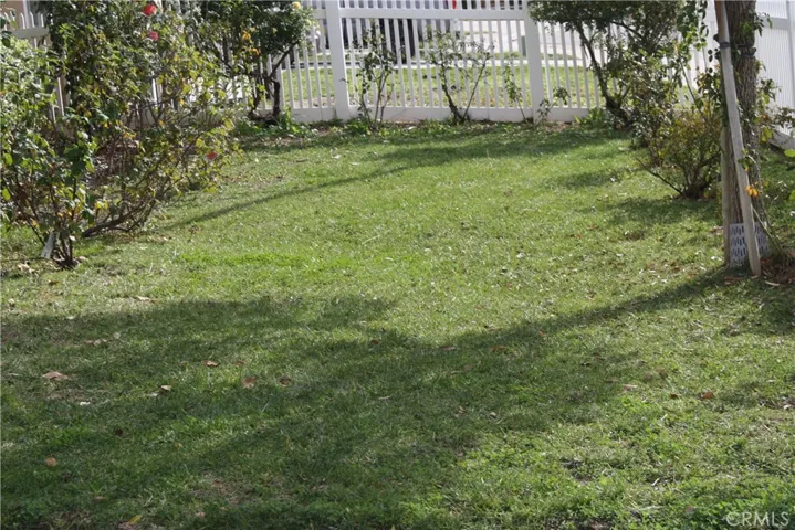 Front Yard