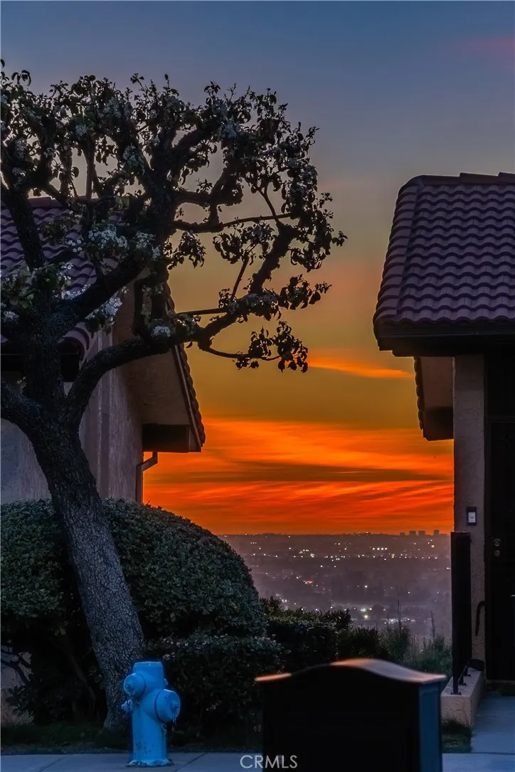 5029 Tierra Antigua Drive, Whittier, California 90601 home-pic-40