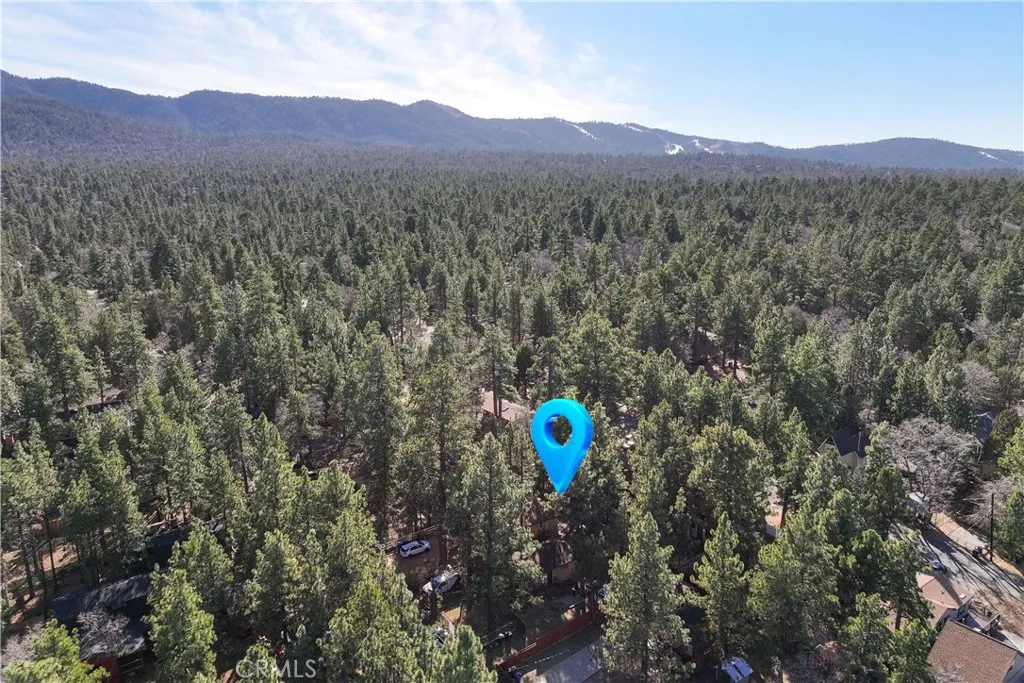314 Victoria, Big Bear, California 92386 home-pic-17
