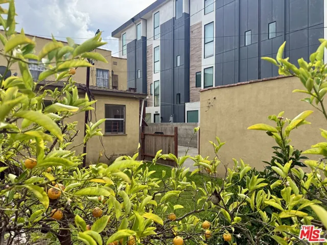 Fruits trees