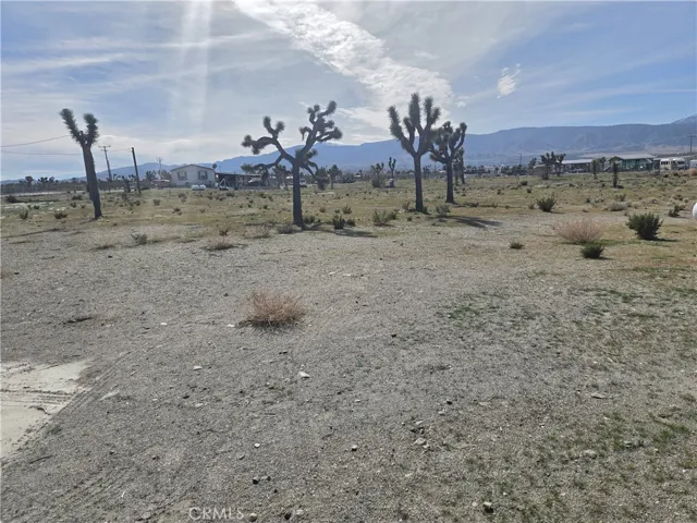 12474 Silver Rock, Pinon Hills, California 92372