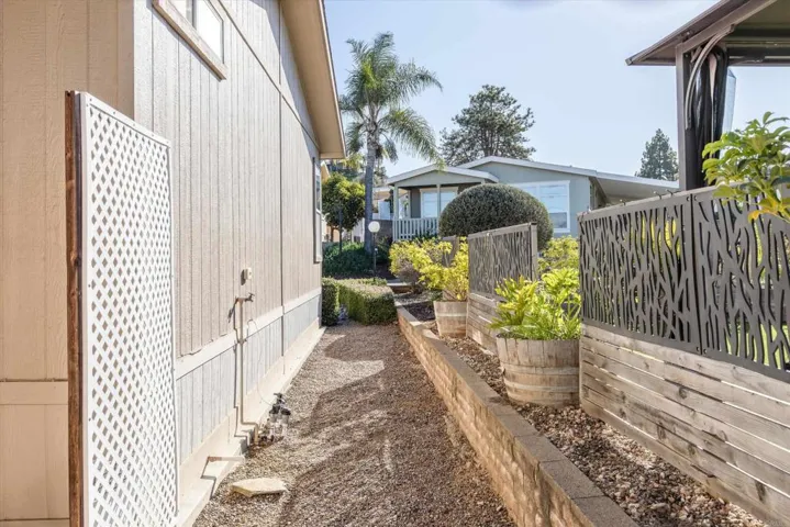 Rear Yard