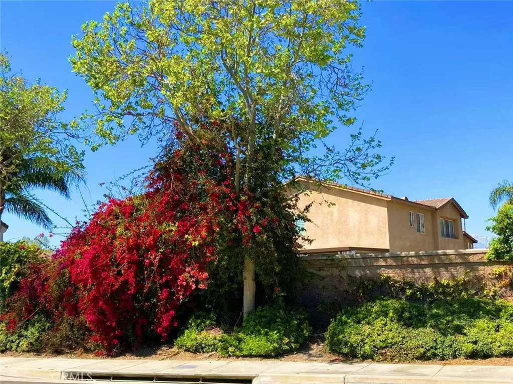14037 Hollywood Ave, Eastvale, California 92880 home-pic-48