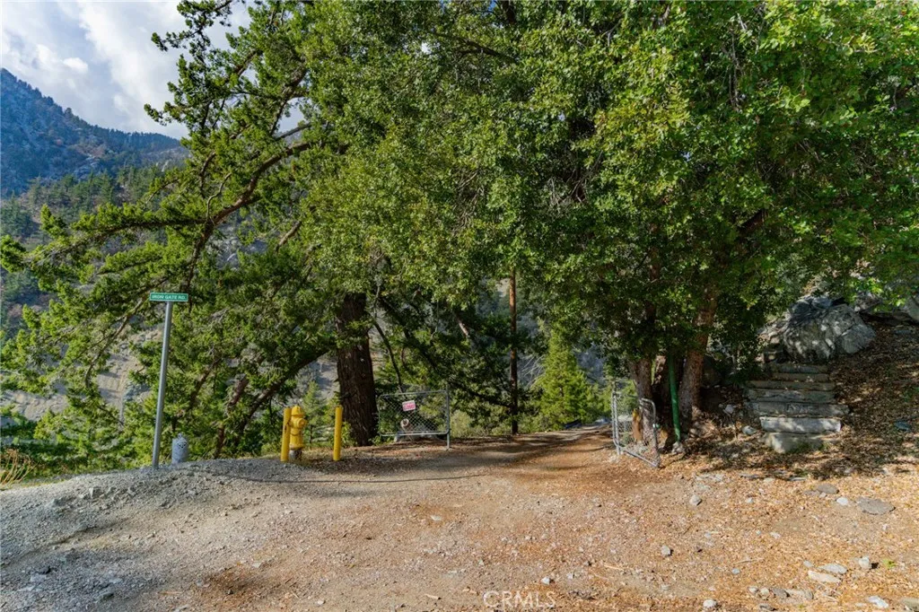 73 San Antonio Creek, Mt Baldy, California 91759 home-pic-45