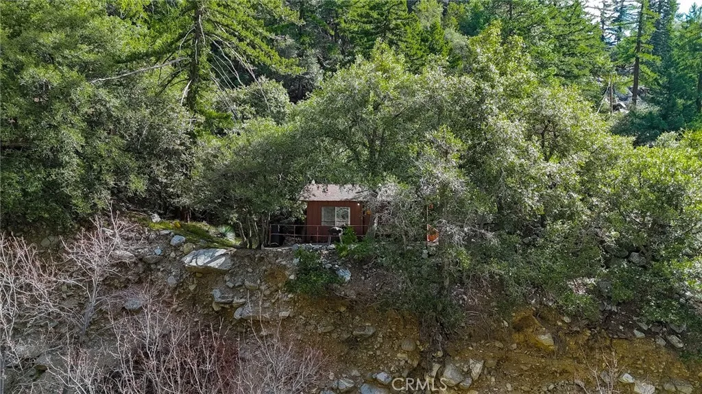 73 San Antonio Creek, Mt Baldy, California 91759 home-pic-47