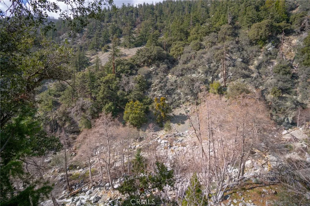 73 San Antonio Creek, Mt Baldy, California 91759 home-pic-12